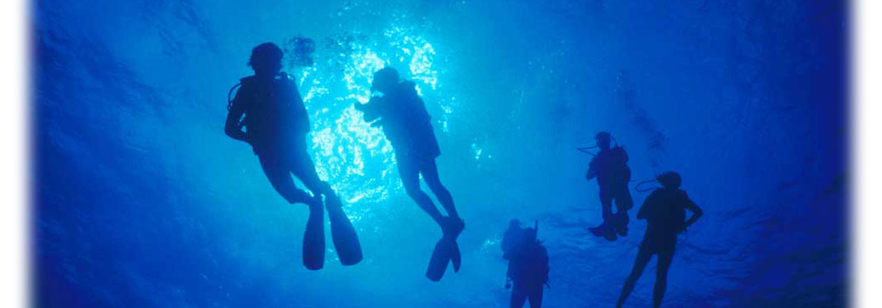 Scuba Diving at Grenada Dive Center