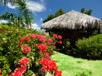Spa Treatment & Services at Mount Cinnamon Resort Caribbean