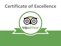 Savvy's Restaurant awarded Certificate of Excellence