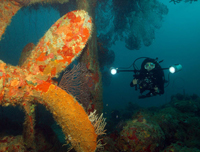 Scuba Diving in Grenada